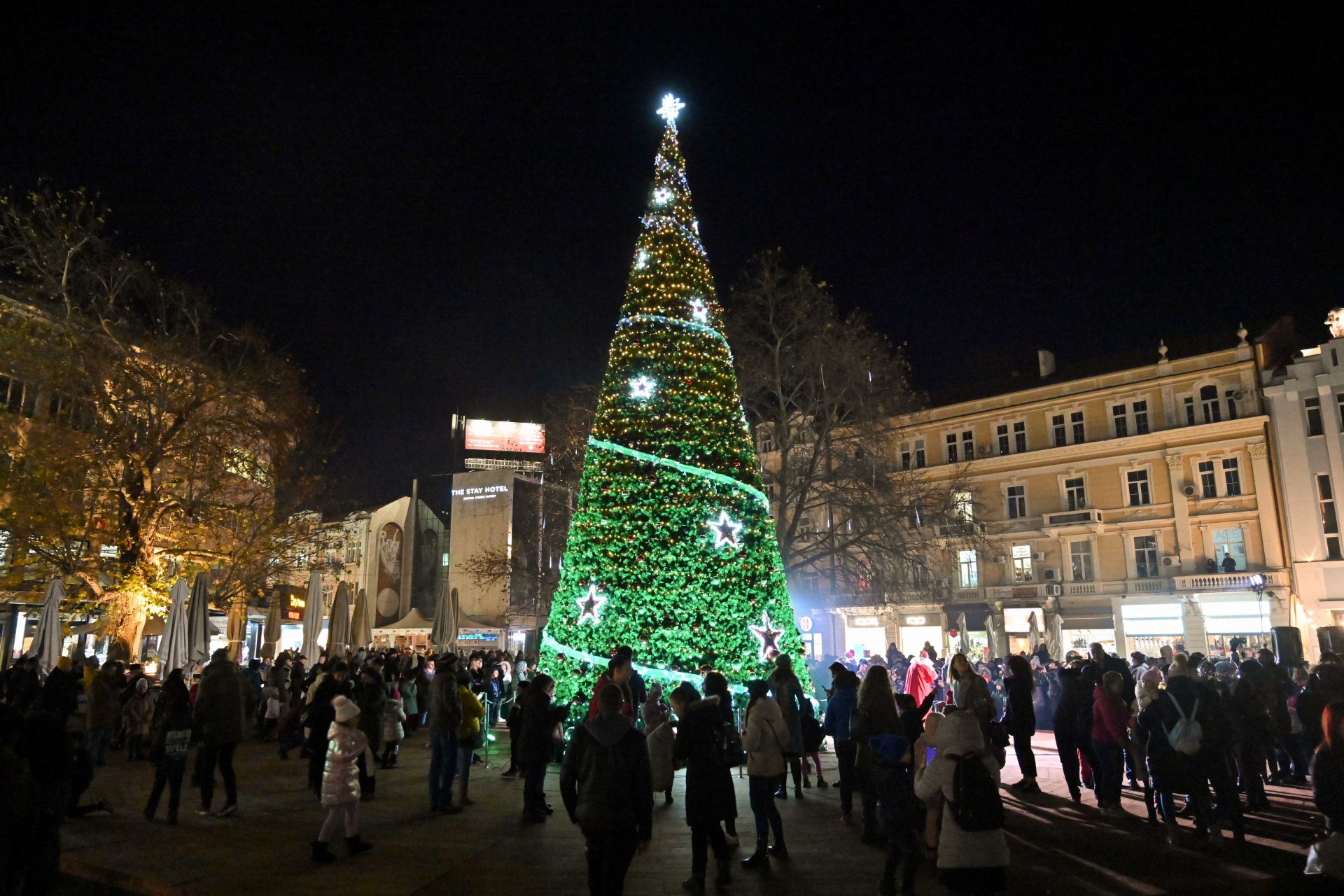 Коледната елха в Пловдив