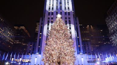 На пищна церемония и концерт на звезди Коледната елха на