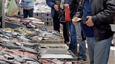 Започват масирани проверки по търговските обекти предлагащи риба и рибни