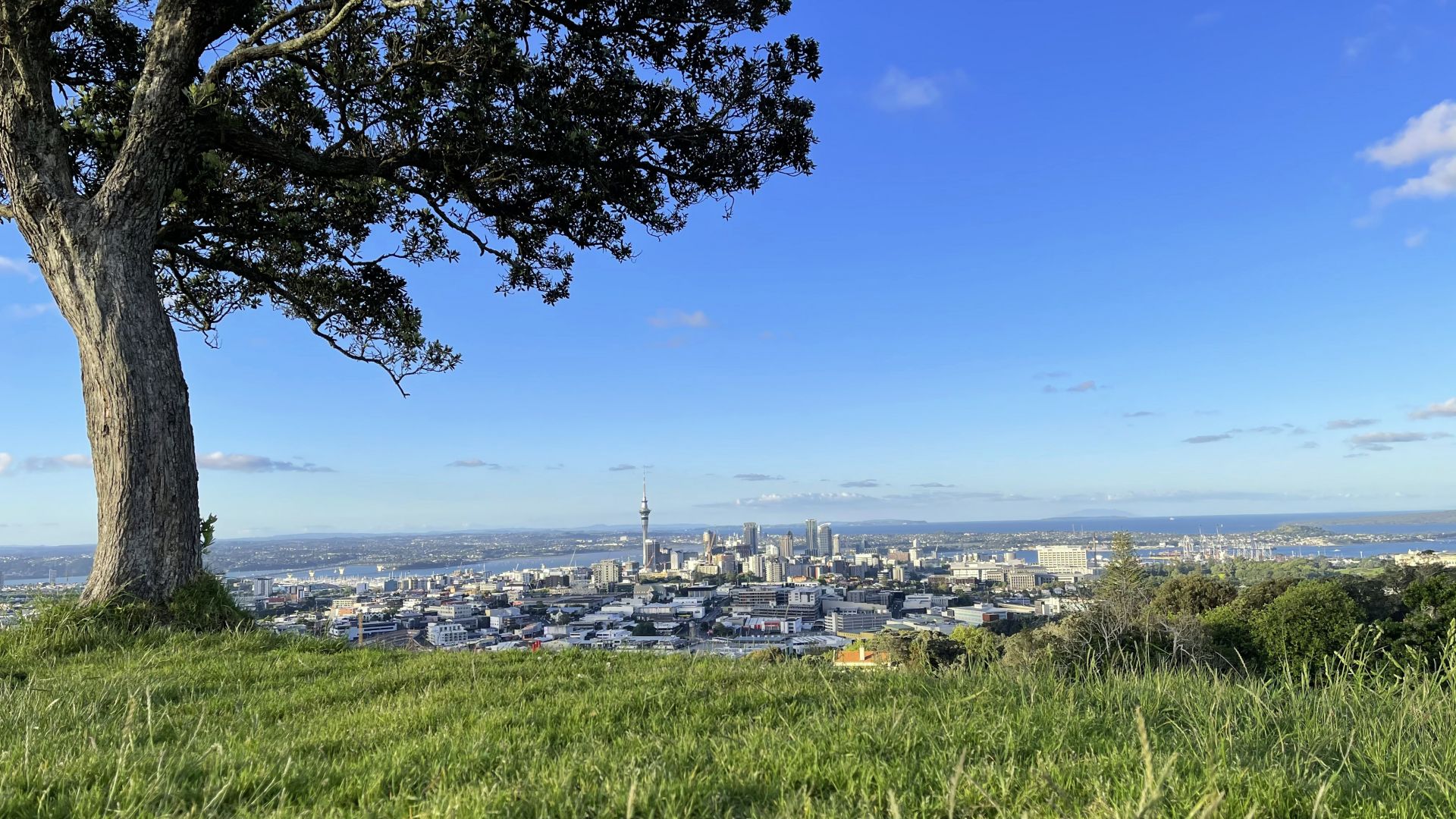 Град в Нова Зеландия става първият в света, който въвежда "климатичен данък" за жителите си 