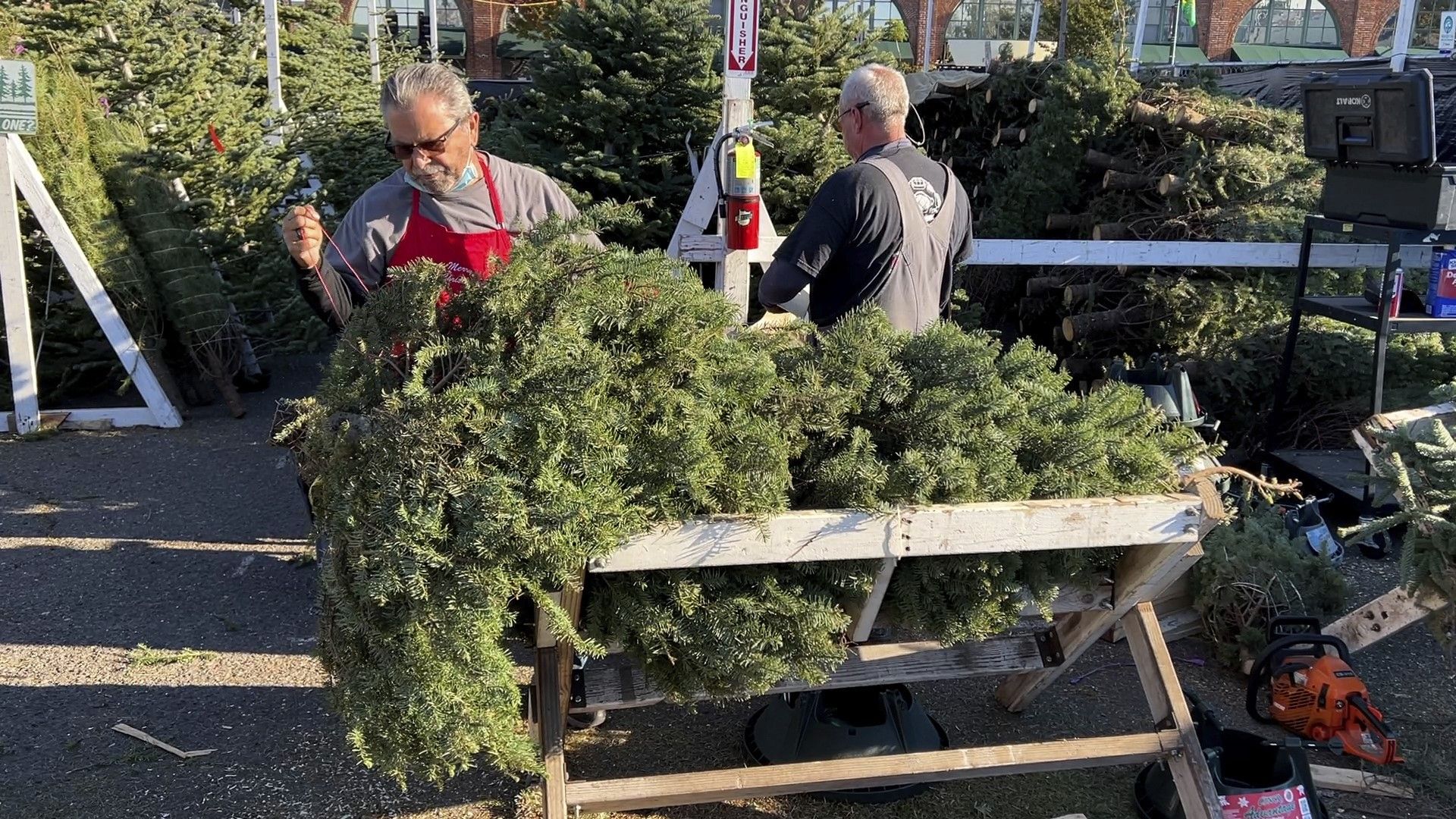 Собственикът на "Кристал ривър крисмас трий" Дейл Пайн подготвя дърво за продажба в парцела си в Аламеда, Калифорния, на 24 ноември 2021 г.