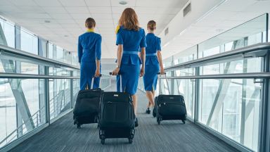 Стюардесите на различни авиокомпании споделят най странните молби на богатите и