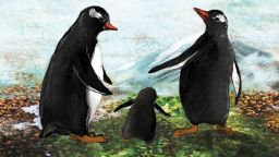 Христо Пимпирев разказва историята на пингвина Гошо в книга за деца