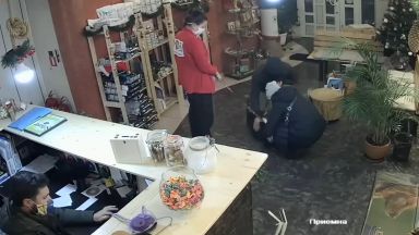 Абсурден случай от столична ветеринарна клиника Стопани откраднаха домашния си