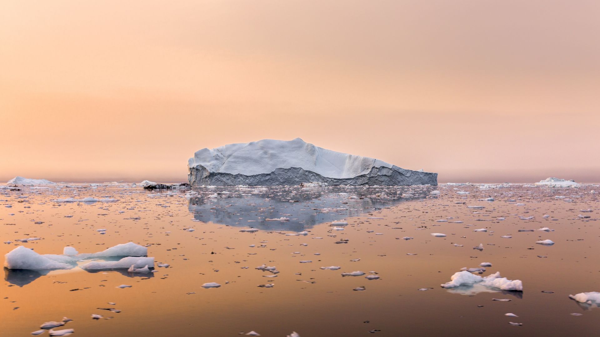 Температурен рекорд за Арктика от 38 градуса по Целзий бие тревога за климата