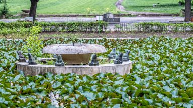 Столичният общински съвет СОС ще разгледа на предстоящото си заседание