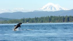 Рекордно затопляне беше регистрирано в океаните през 2025 г. за девета поредна година