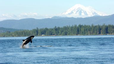Рекордно затопляне беше регистрирано в океаните през 2025 г. за девета поредна година