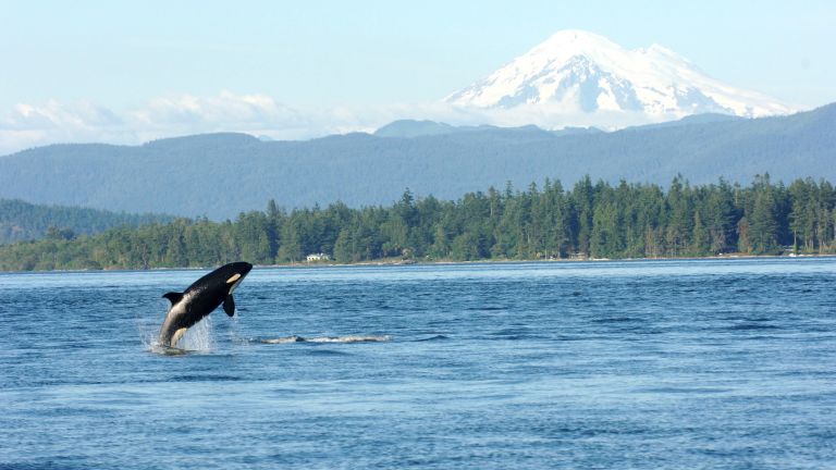Рекордно затопляне беше регистрирано в океаните през 2025 г. за девета поредна година