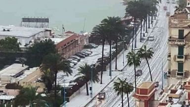 Сняг затрупа Египет, палмите край Средиземно море побеляха (снимки/видео)