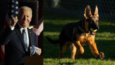 Запознайте се с новия Байдън - американският президент представи третото си куче