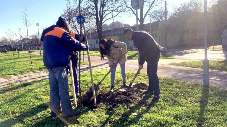 10 нови чинара по крайбрежната алея на бул. Марица-юг и