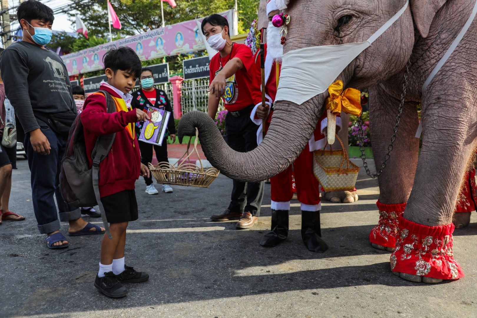 Облечен като Дядо Коледа слон раздава подаръци на децата в Аютая, Тайланд.