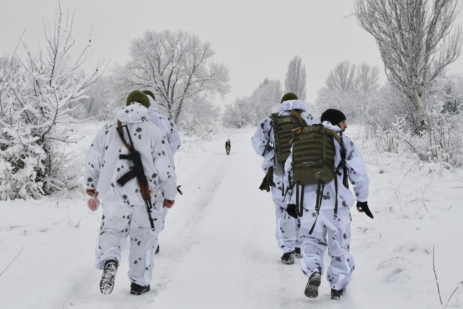 Украински войници патрулират край фронтовата линия в Източна Украйна