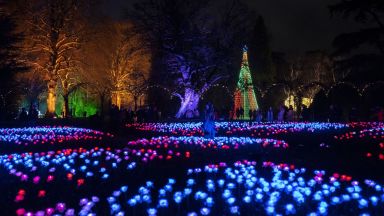 В своите обръщения за Рождество Христово лидерите по света говориха