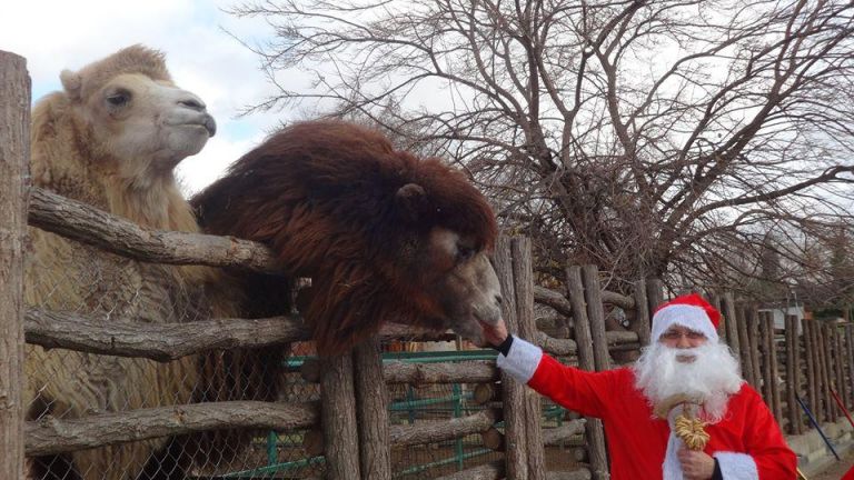 Над 100 бебета са родени в зоопарка във Варна през