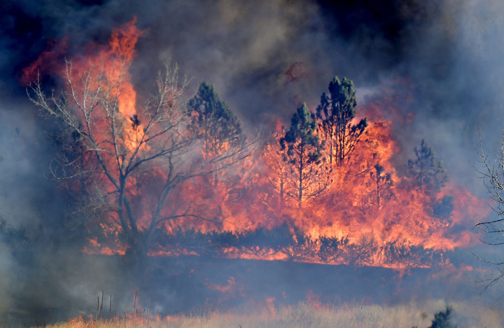 Пожарите през зимата ще стават все по-обичайни заради глобалното затопляне
