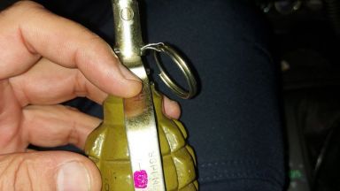 Задържаният с бойни гранати мъж присъствал на светлинното шоу в