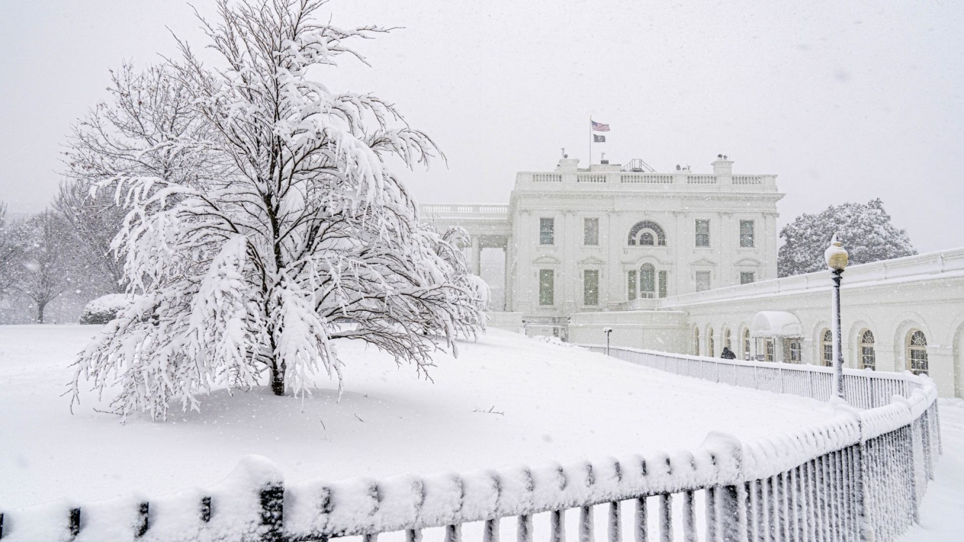 Снежна буря връхлетя Вашингтон