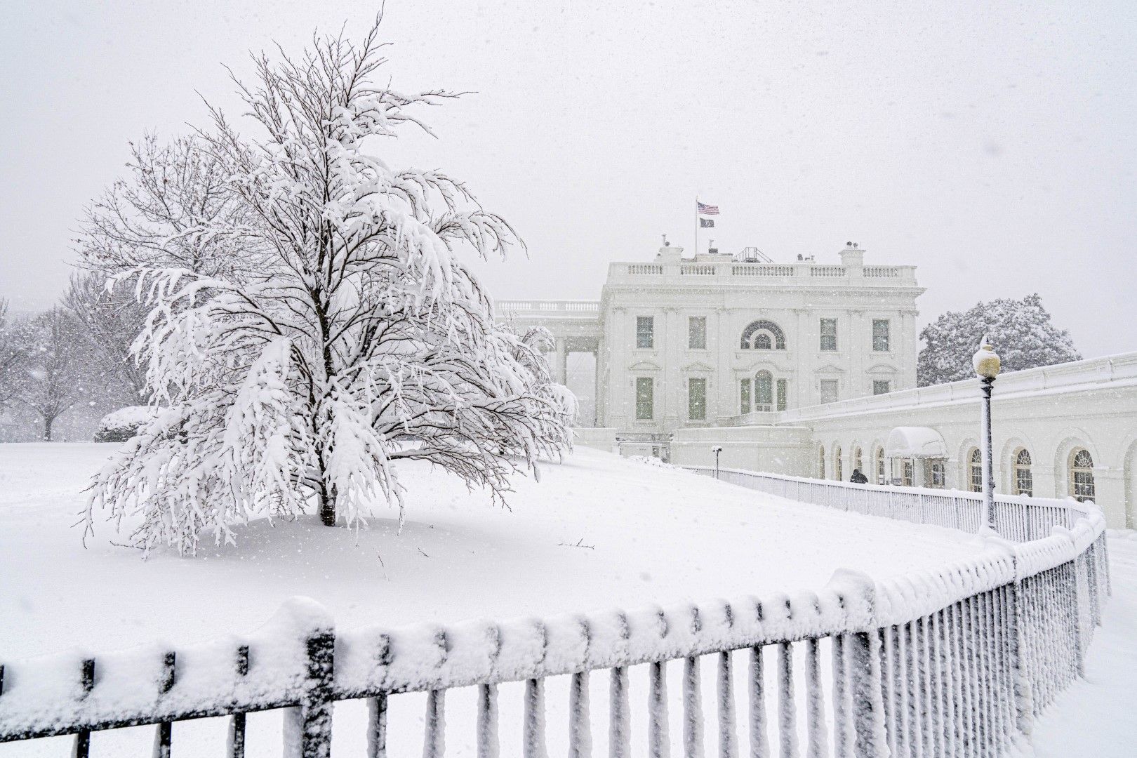 Белият дом покрит със сняг при снежната буря, връхлетяла Вашингтон