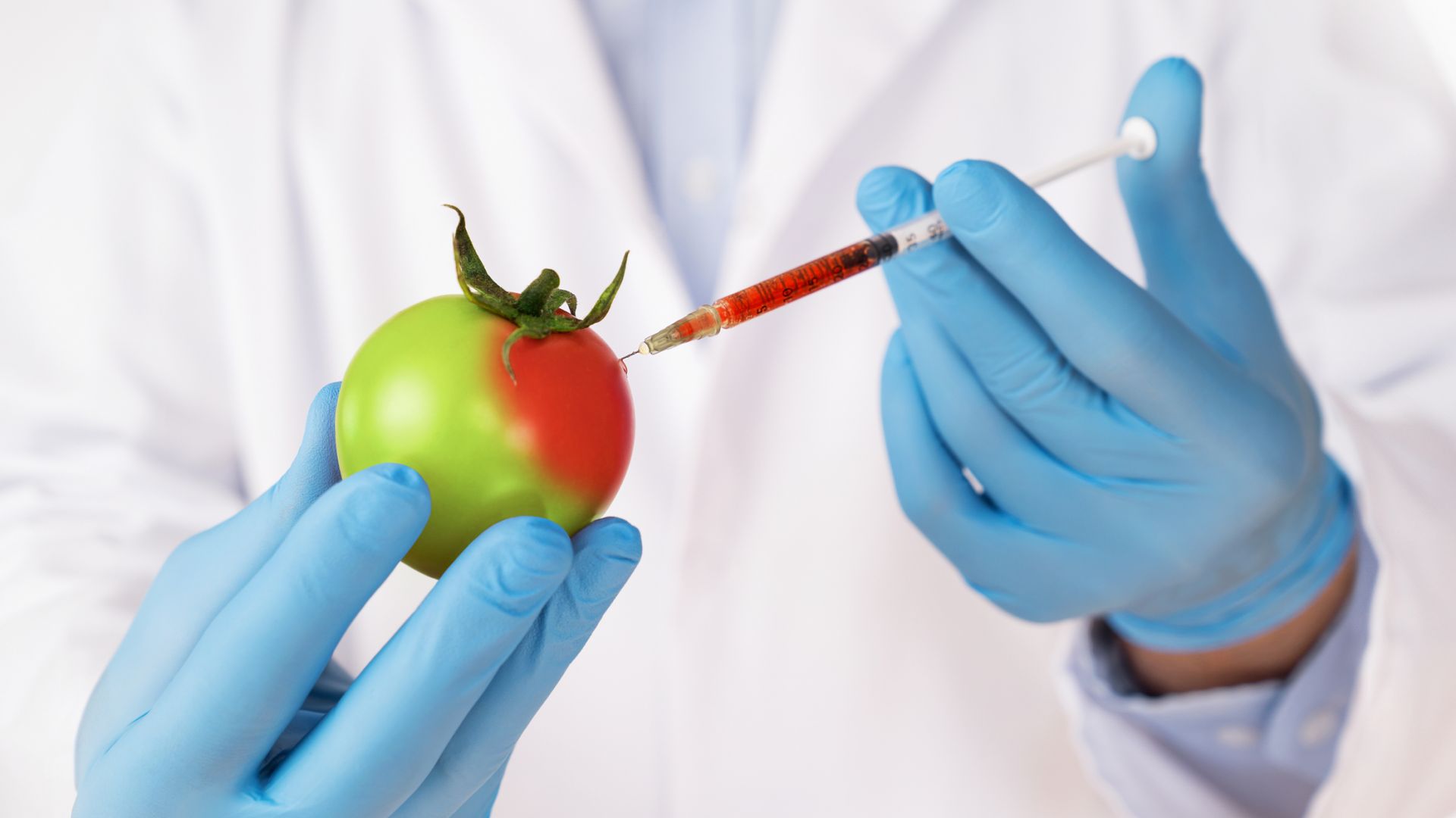 Продават генно редактирани домати с психоактивно вещество в Япония