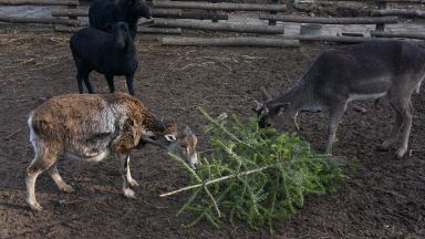 В зоопарка във Варна за поредна година се провежда кампанията