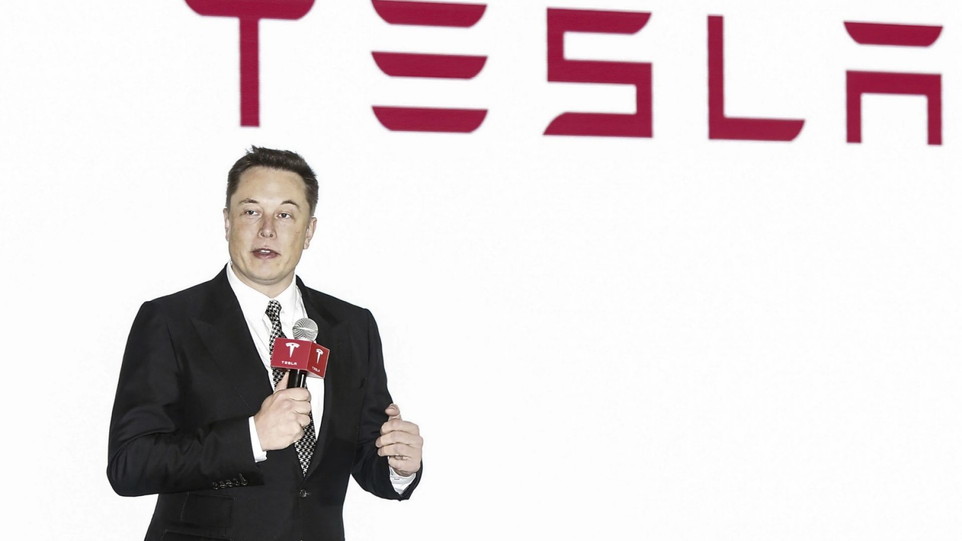 Tesla ще разшири завода си в Берлин и започна да добива дървесина