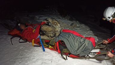 8 месечно куче от породата Аляски маламут се превърна в истински герой