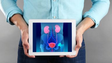 Простатата е малък по размер орган разположен в основата на