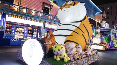 Град Ухан се готви за Китайската нова година с фестивал на тигъра (снимки)