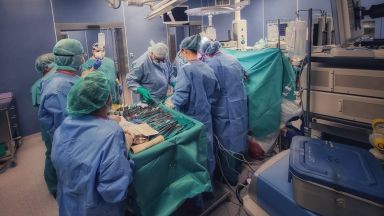 ВМА извърши първата чернодробна трансплантация за 2022 г. (снимки)