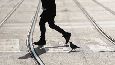 Ремонт на трамвайния релсов път при кръстовището на бул Евлоги