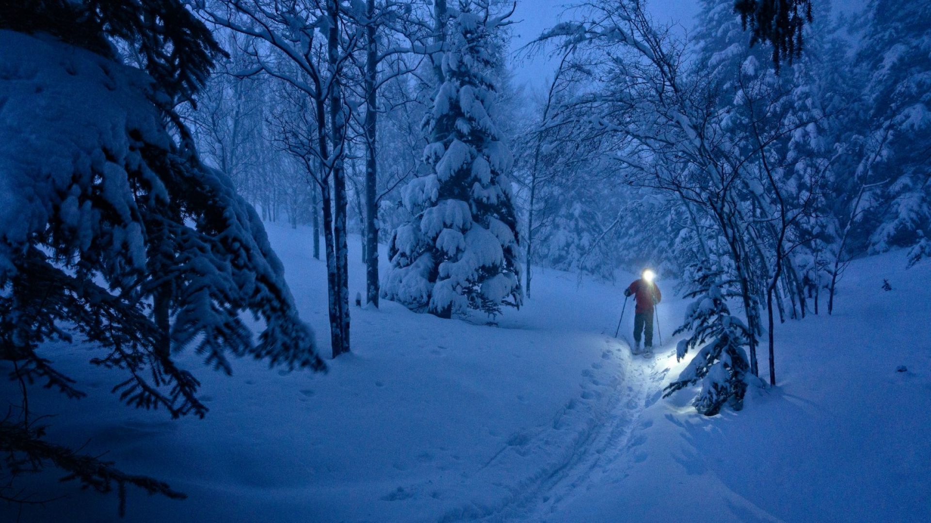 Не подценявайте зимната планина, апелират планинските спасители