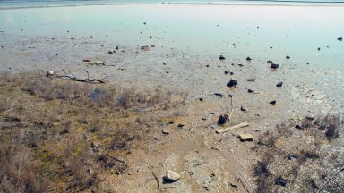 С представяне на книга и прожекция на късометражен филм отбелязват