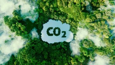 Диляна Якова: Филип Морис Интернешънъл е лидер в прехода към въглероден неутралитет 