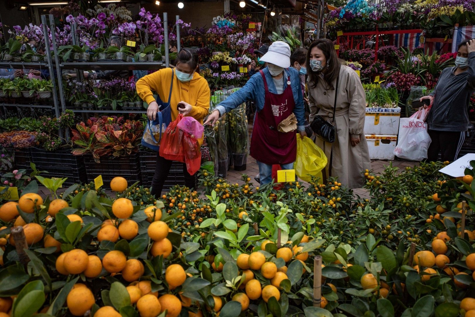 Клиенти купуват мандаринови храстчета, считани за носещи късмет, в Хонконг.