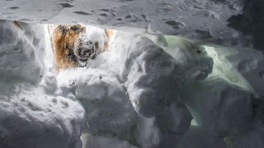 Днес лавина предизвикана от скиор го е повлякла и той