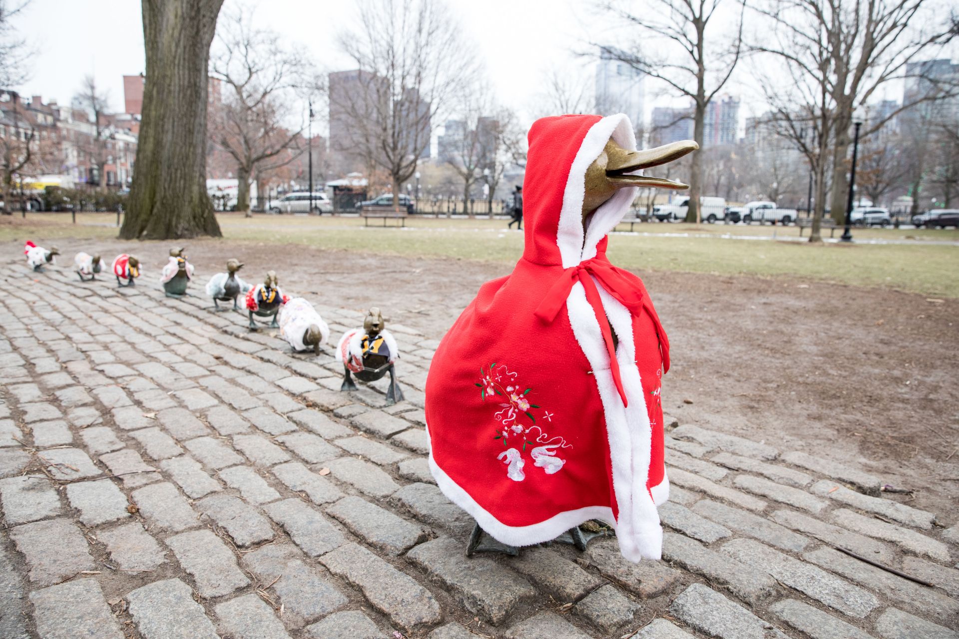  Статуята „Направете път на патетата“ в обществената градина в Бостън е облечена в зимнo палта заради ледемата буря Кенан. Очакват се снежни бури в голяма част от североизточната част на Съединените щати през уикенда. Снимката е на Скот Елсен. 