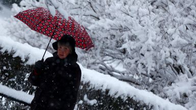 В София тази нощ поради непрекъснатия снеговалеж са направени няколко