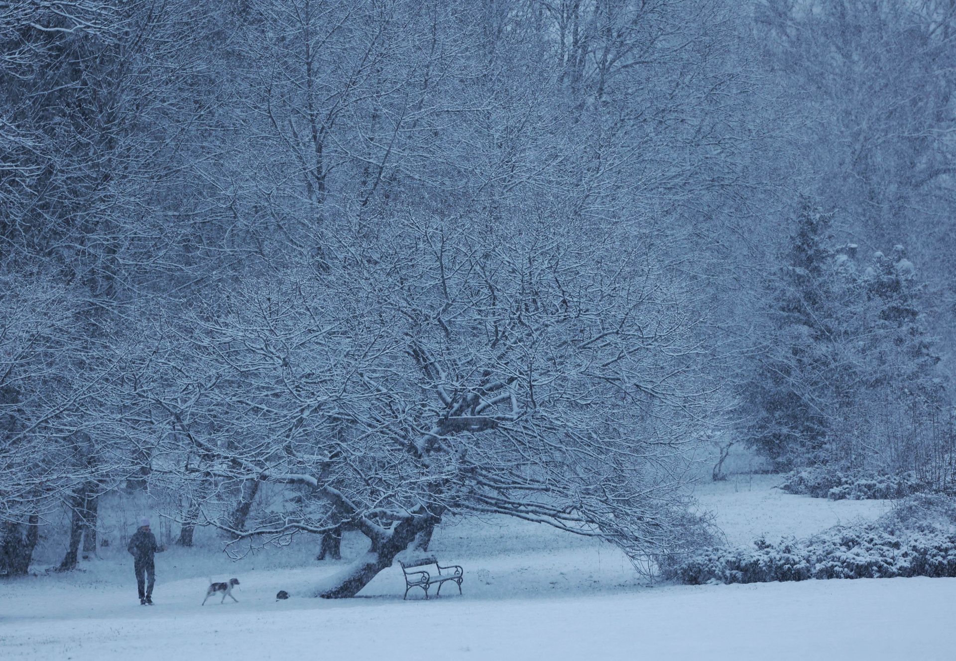 Снежна картина от Борисовата градина 