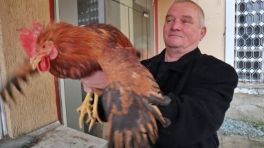 На днешният празник на мъжките рожби Петльовден във всички села