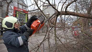 Силен вятър във Варна събори дървета и клони на различни