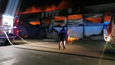 Голям пожар избухна в зеленчуковата борса край Петрич (видео)