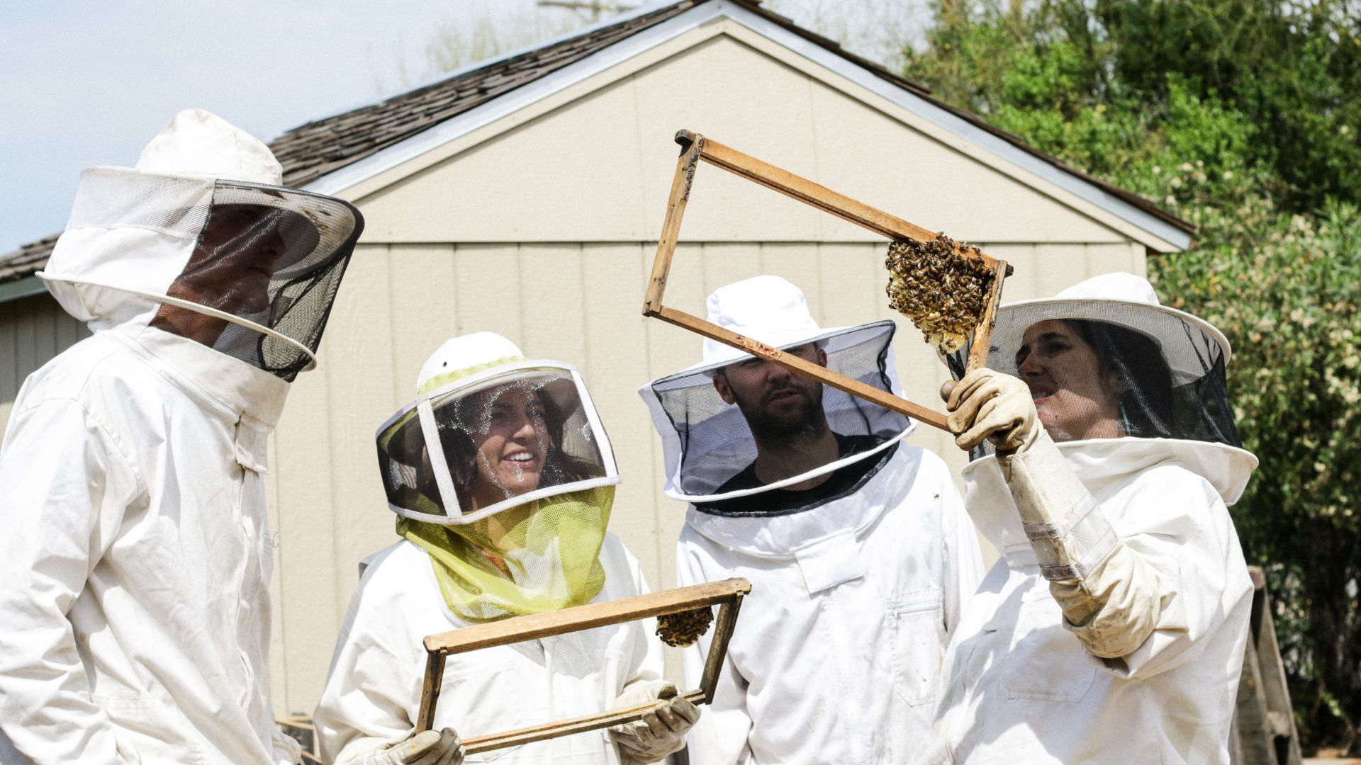 Защо денят на пчеларя е важен за всички нас