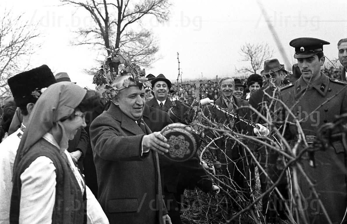 14 февруари 1973 г.: Тодор Живков зарязва лозята в Плевенско