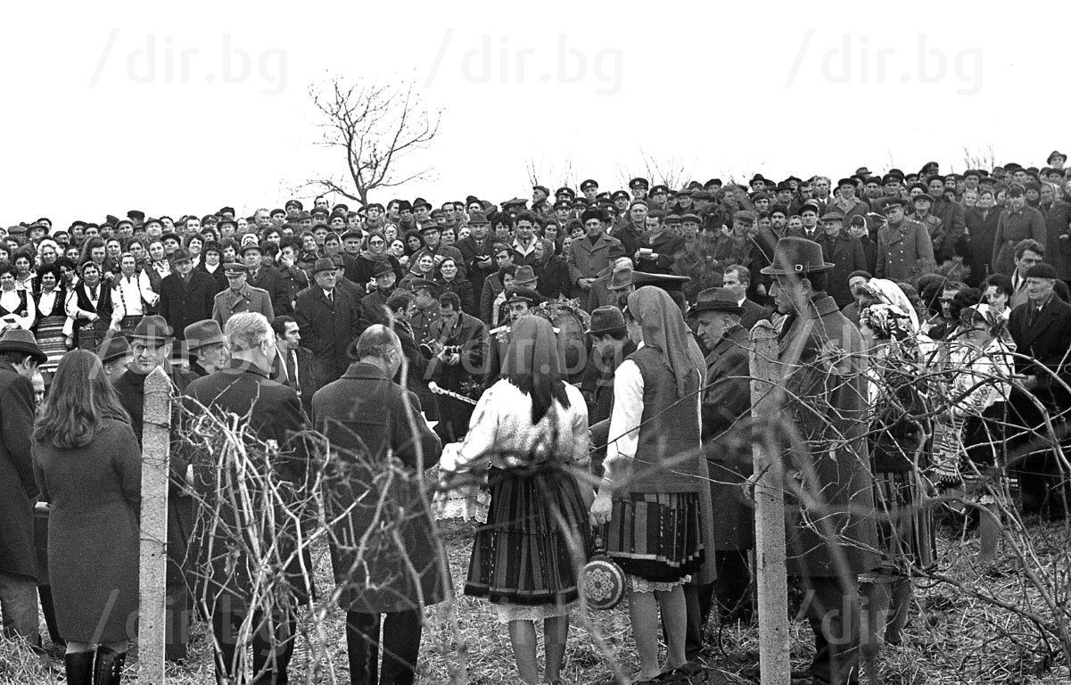 14 февруари 1973 г.:Възсторжено посрещане на Тодор Живков на лозарските масиви край Плевен за заразявнето на лозята на Трифон Зарезан 