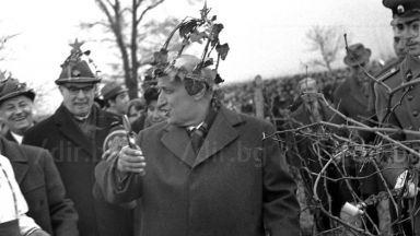 Историята за лозарската корона с петолъчка започва ден преди това