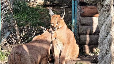 На празника на любовта екипът на Зоопарк Бургас събра младата