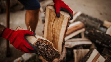 Въглеродните данъци ще ударят по използващите дърва за отопление