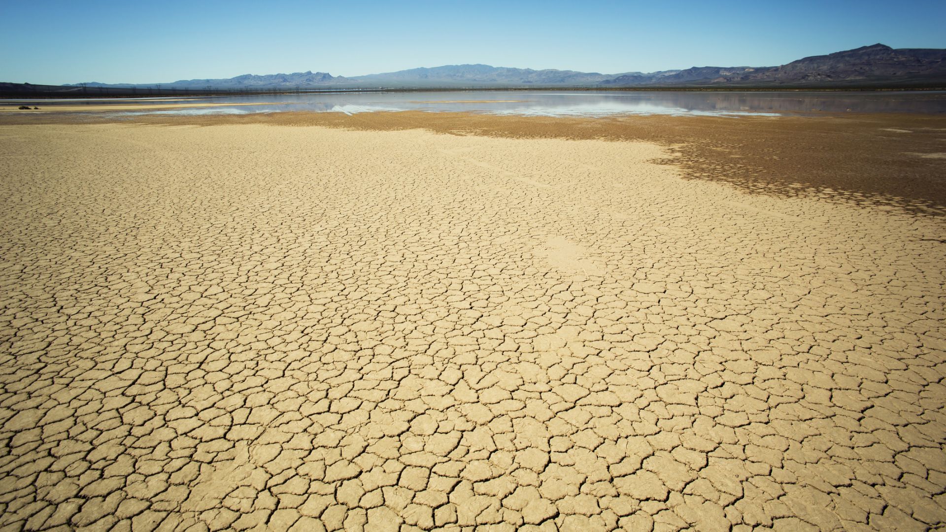 FEWS Net предупреждава за безпрецедентна суша и последваща хуманитарна катастрофа